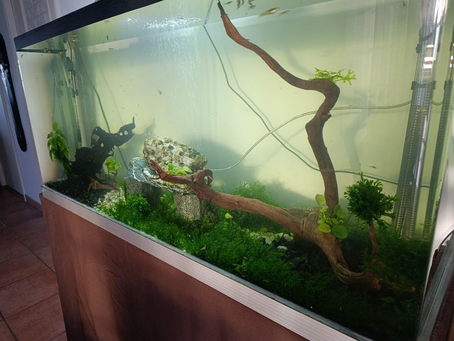 Aquário 400 l com tudo