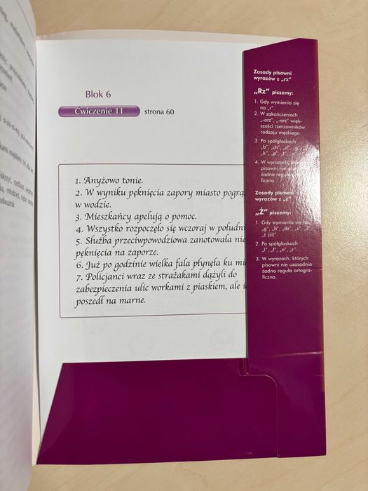 Zeszyt ćwiczeń ortograffiti rz, ż.