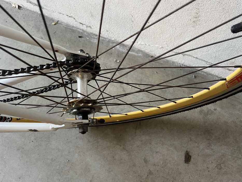 Bicicleta singlespeed