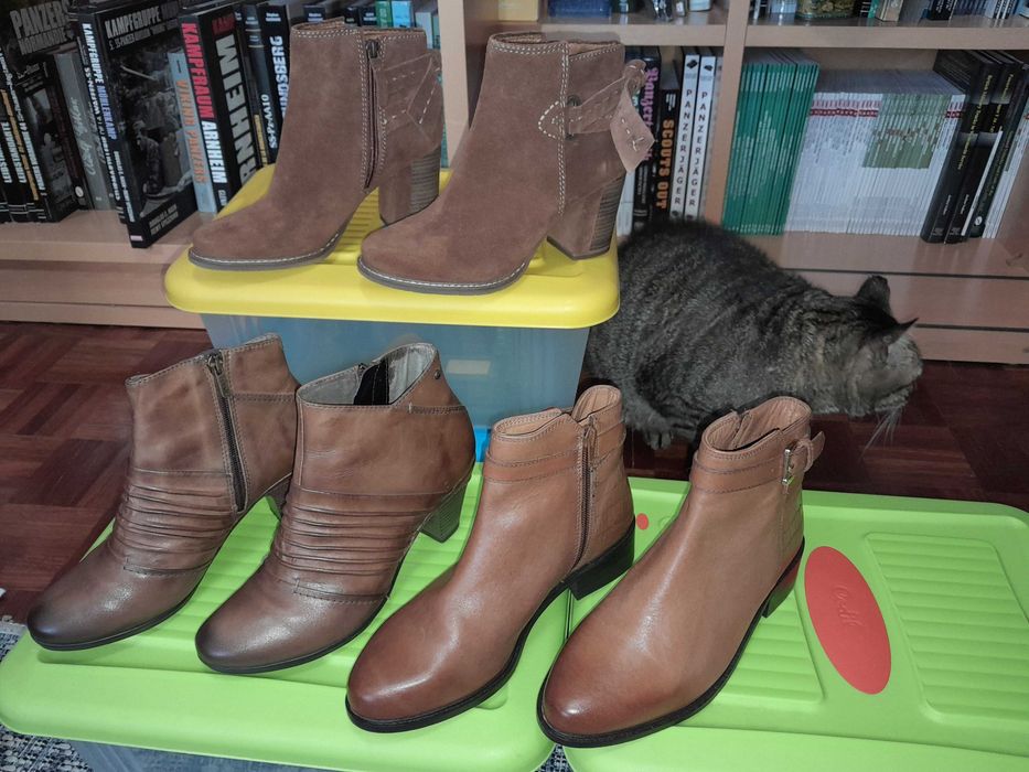 Botas de cano baixo, tamanhos 36 e 37. Tamaris, Pikolinos, Dune