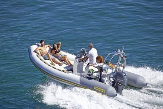 Vanguard 560 Family c/ Honda 100CV