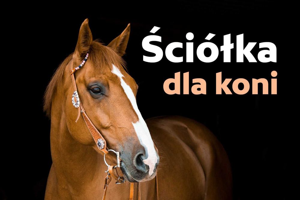 Ściółka torfowa, torfowo-wiórowa, torf - dla drobiu, koni - LITEWSKI