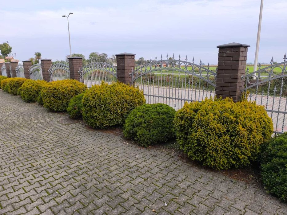 Przęsła stalowe płotu ocynkowane ogniowo