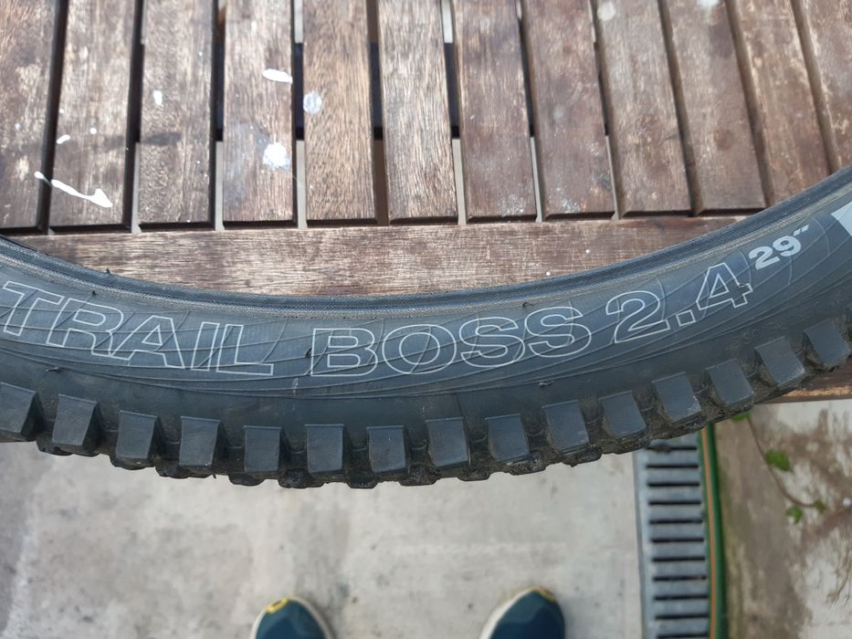 WTB Trail Boss 29 2.4 TCS Light Fast