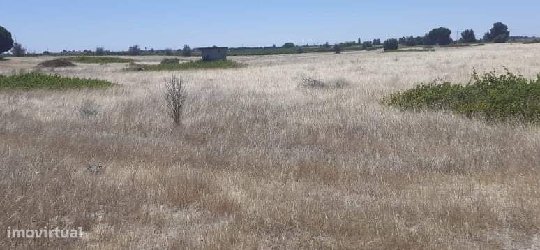 Palmela/ Areias Gordas Terreno 42000 m2. para construção de moradias .