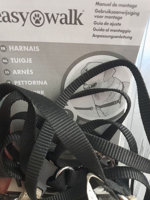 Trela cão easy Walk