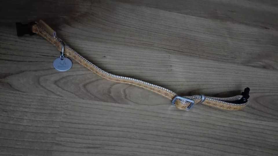 Coleira "Mac Leather" + Arnês "Trixie" para cão tam. S - artigos novos