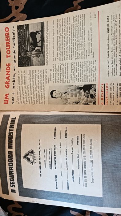 Revista O Benfica ilustrado n50 de 1961