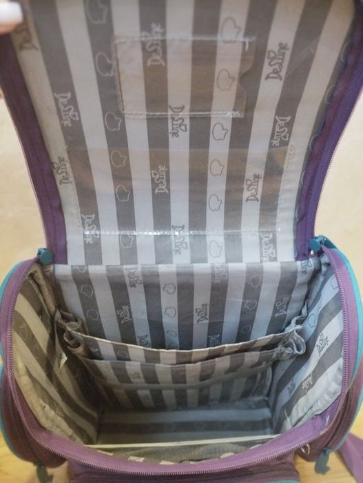 Шкільний Ортопедичний рюкзак Delune