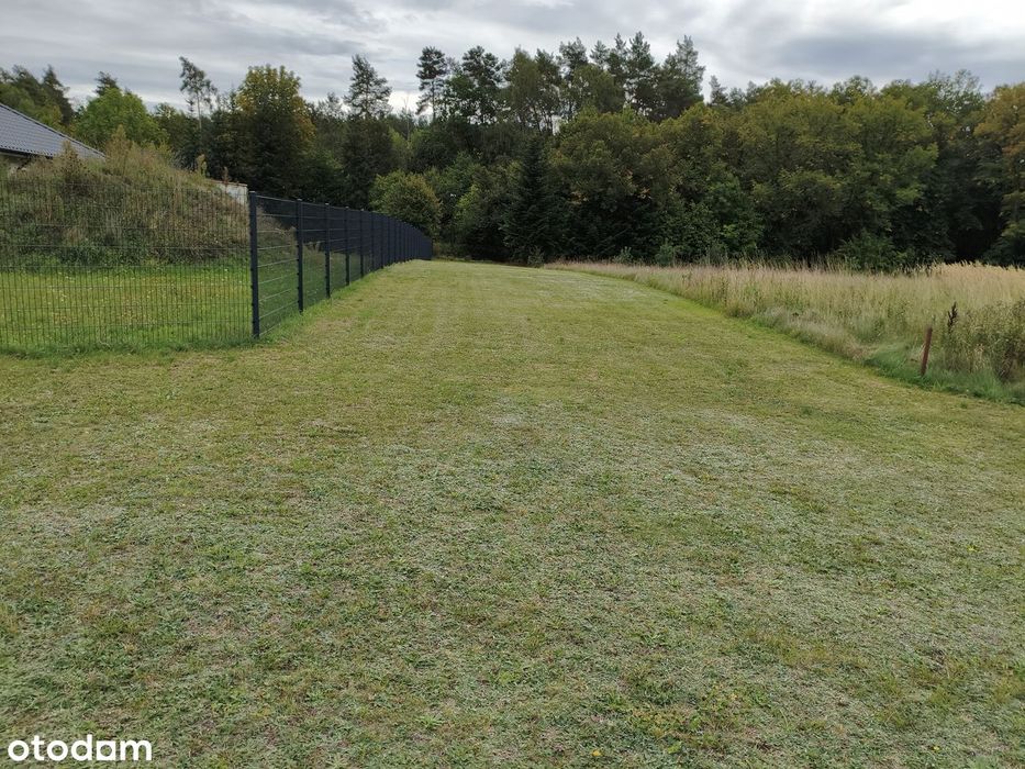 Działka budowlana 4000 m² w spokojnej okolicy