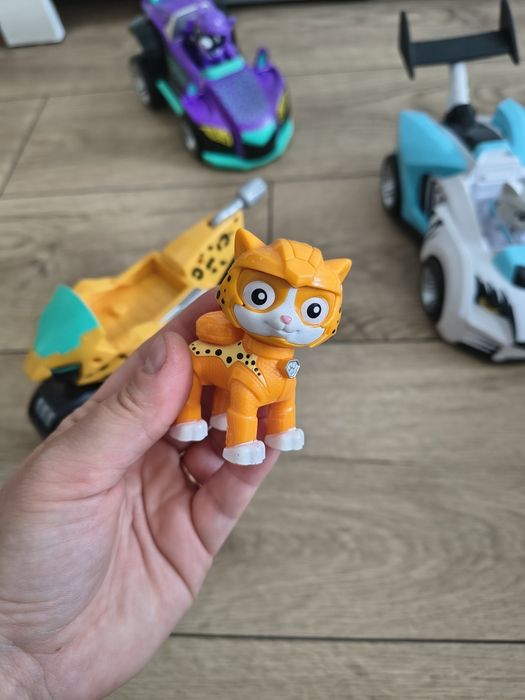 Rory shade Leo kocia paczka cat pack psi patrol paw patrol