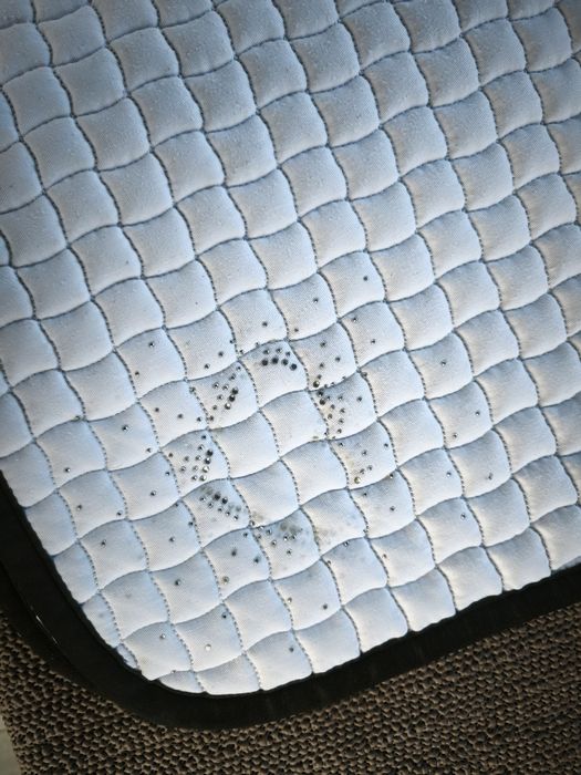 Czaprak eskadron DL full biały