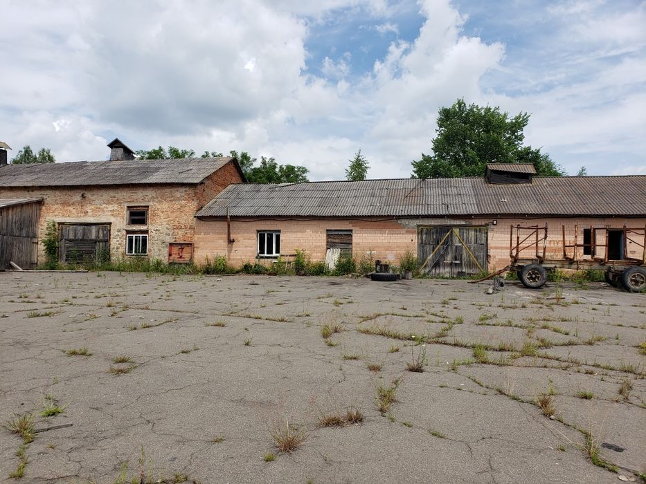 Продаж  виробниче приміщення  с. Серби