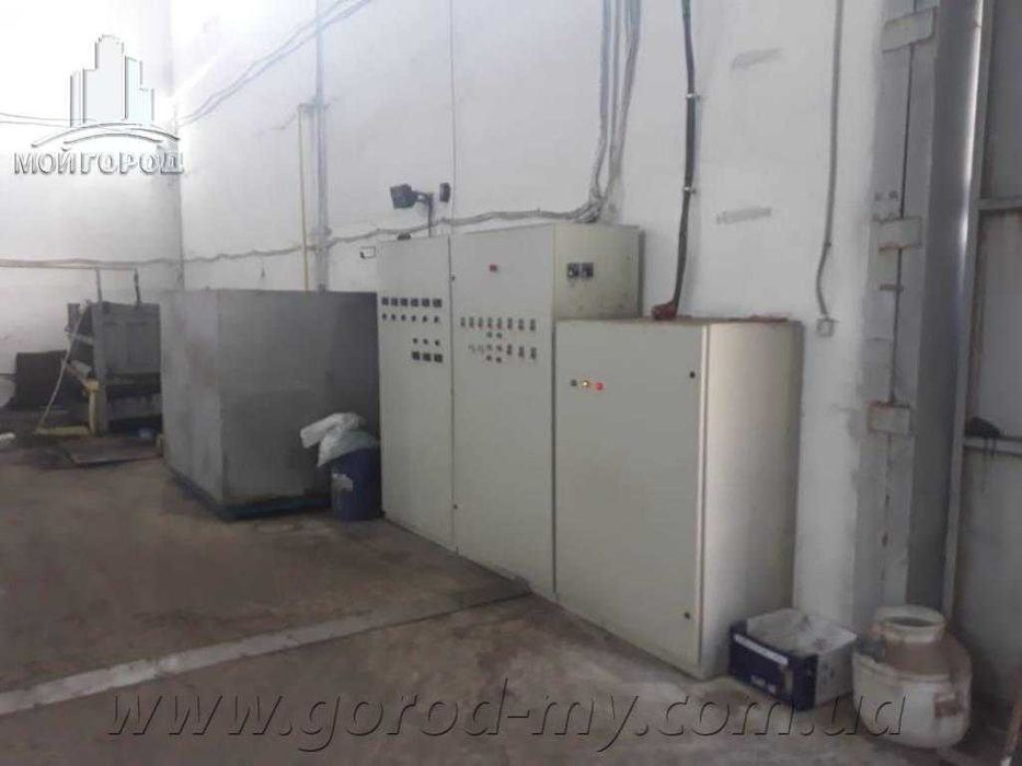 Бізнес з виробництва соняшникової олії в Україні. Олійниця. Завод