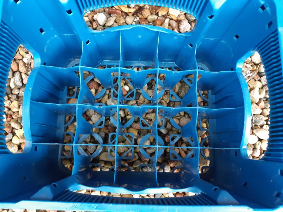 Skrzynka na piwo butelki Kulmbacher 20x0,5L Oryginalna Niebieska