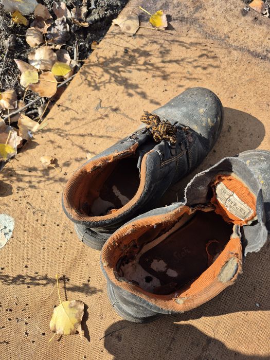 Взуття захисні 42 розмір