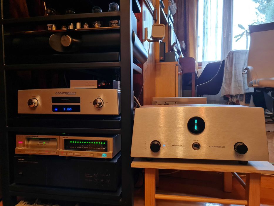 Wzmacniacz Opera Consonance Reference 6.6 KT 66, czarny. Alps RK40