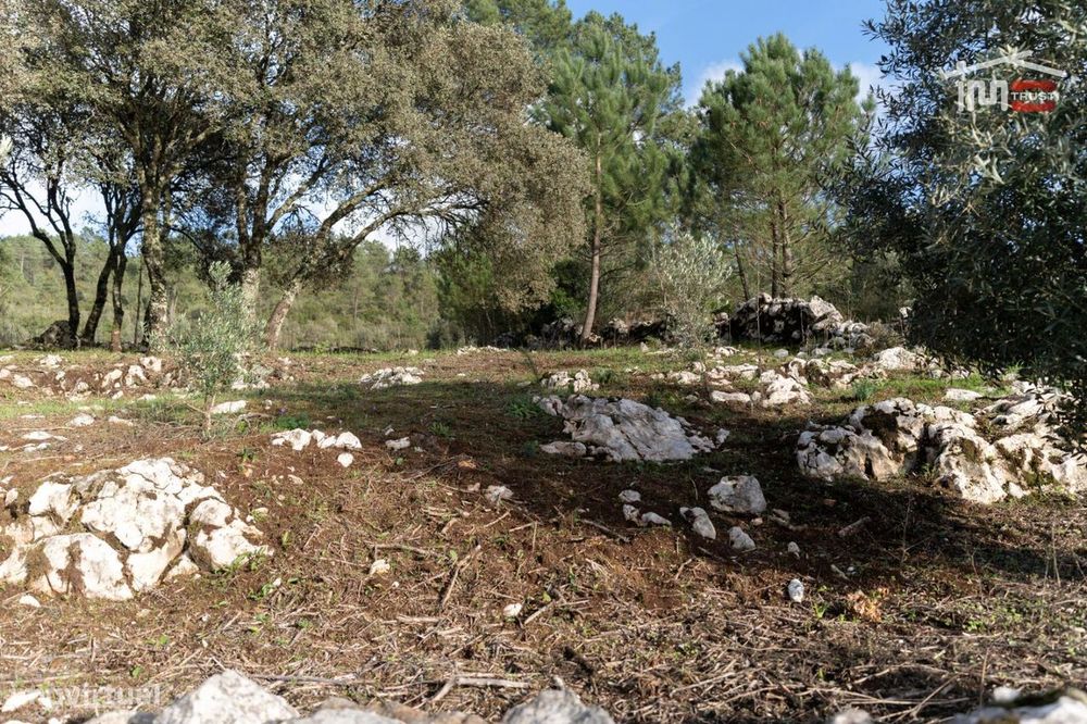 Terreno Para Construção Com Area De 1240 M2 Em Vale Sobreiro São Ma...