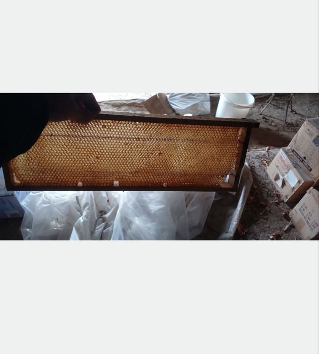 Продам вулики, рамки