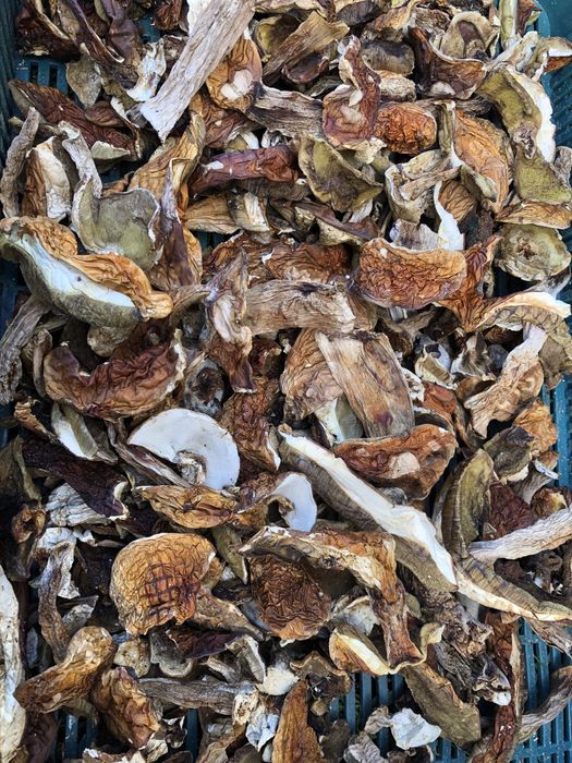 Сухий білий гриб, сушені гриби