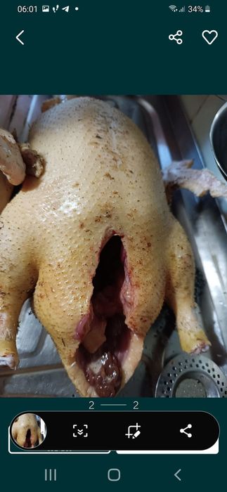 Мясо кролика,    томат. сок, домашнее