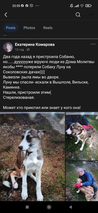 Шукаємо собачку на Соколовских дачах
