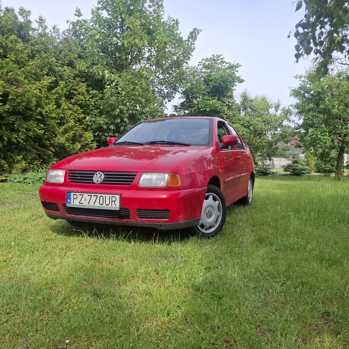 Volkswagen Polo III