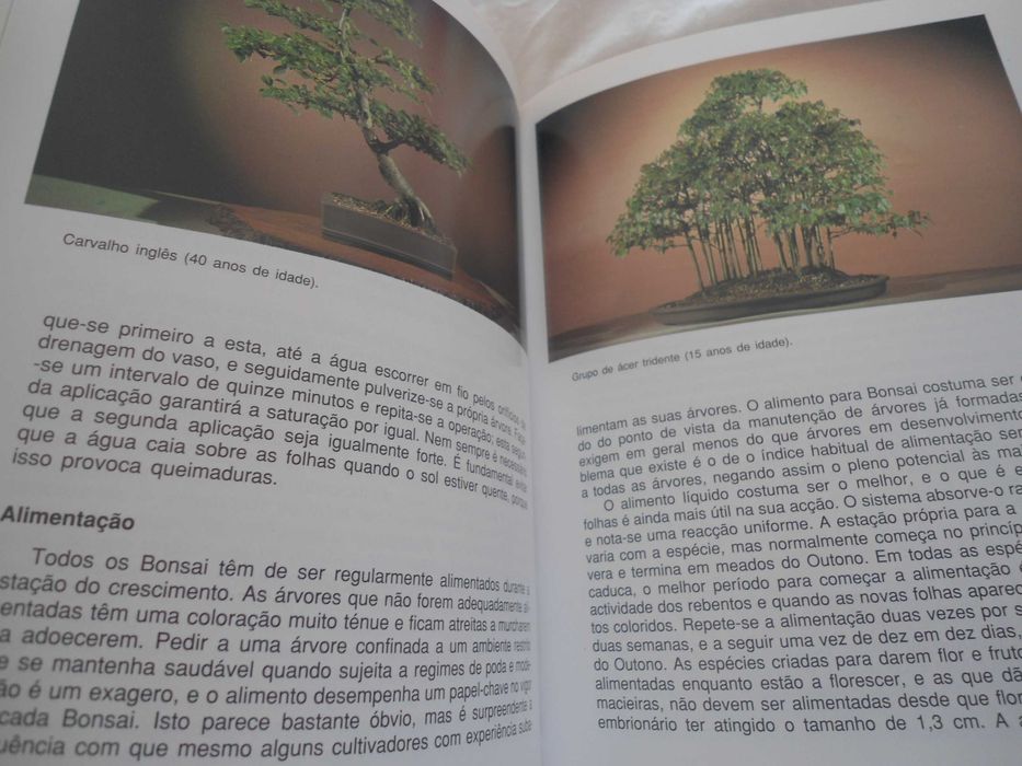 A Arte do Bonsai por Peter Adams