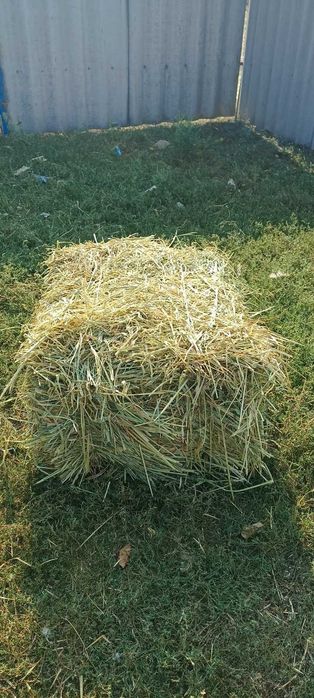 Продам сіно всі питання по телефону