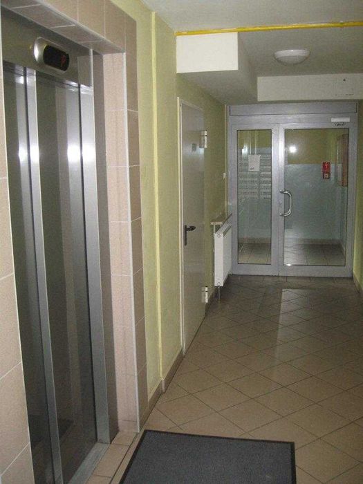 Zdjęcie 7