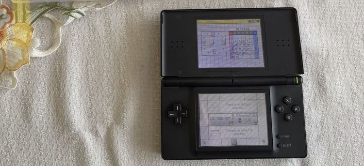 Konsola Nintendo DS Lite + 2 gry (Dr Kawashima's Gehirn-Jogging) + etui