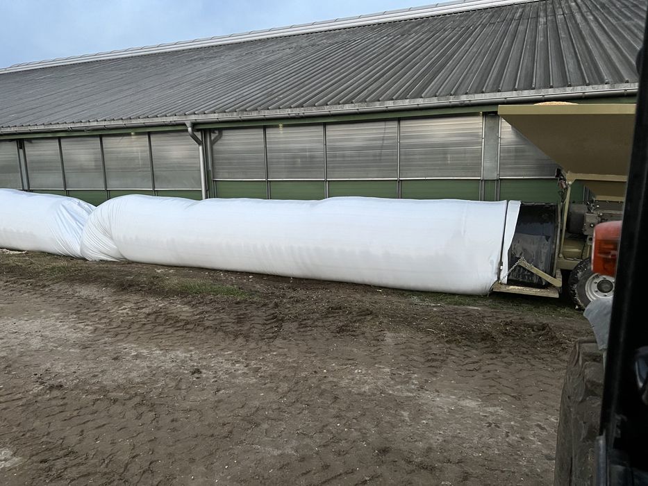 Pakowanie kukurydza mokra w rękaw big-bagi  gniotownik młyn Wysłodki