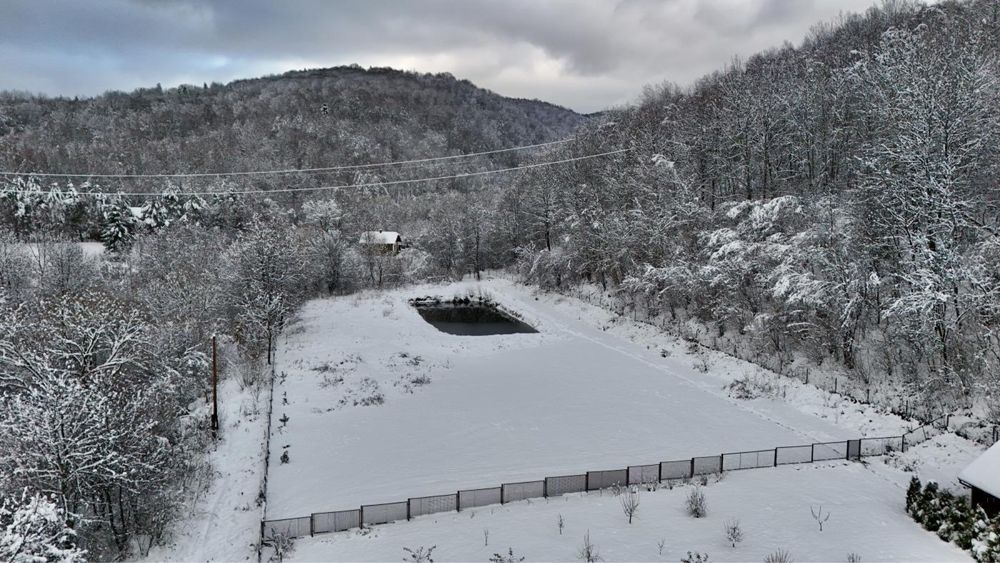 Продаж / Земля / ОСГ / Верхнє Синьовидне/ Львівська область