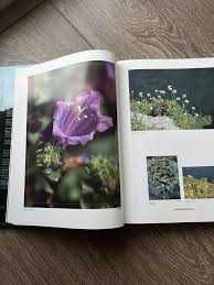 Berlengas : a história e as estórias