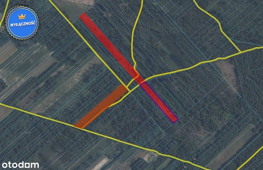3 działki leśne - łącznie 3,98 Ha -Malinowszczyzn