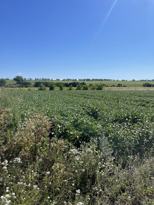 Продам Земельна ділянка 15с під забудову
