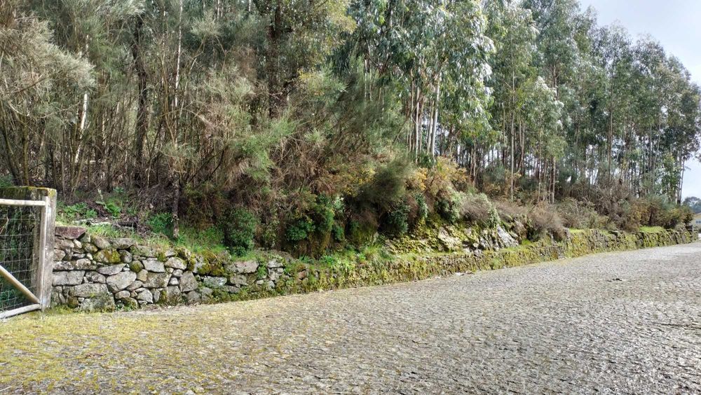 Vende-se terreno para construir moradia