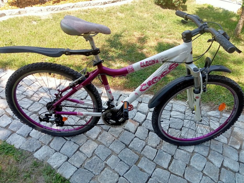 Rower 26  Elegra +drugi  Gratis + kosiarka Briggs&Straton Gratis