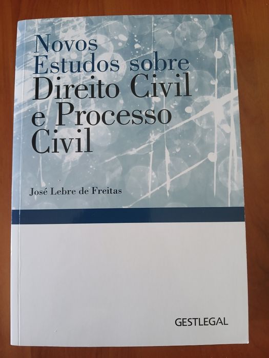 Novos Estudos sobre Direito Civil e Processo Civil