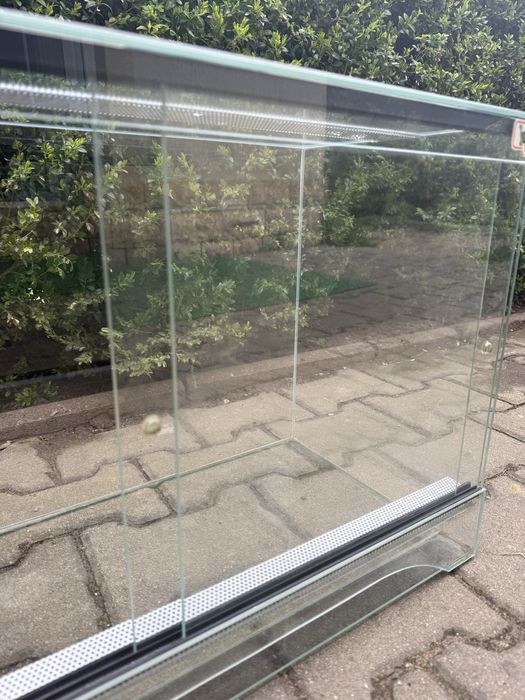 Terrarium dla gadaa