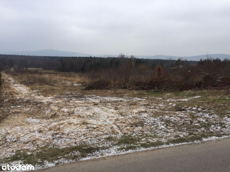 Klonów - piękne działki widokowe