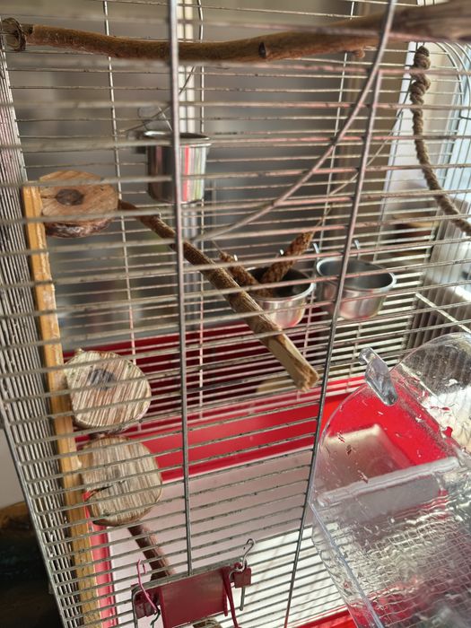 Клітка для папуг.