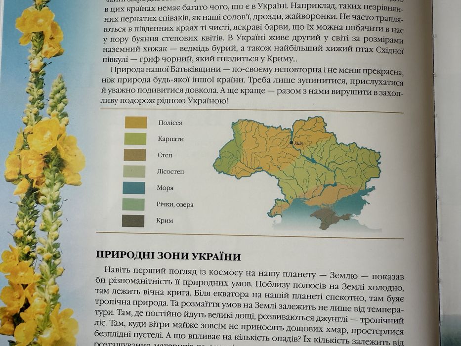 Природа України: тварини, птахи, комахи, риби - гарна енциклопедія