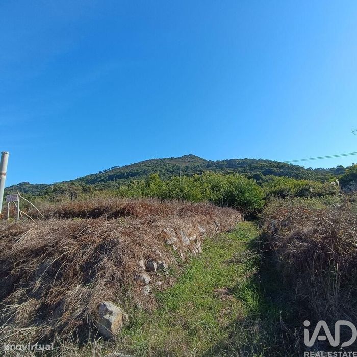 Terreno em Moledo e Cristelo