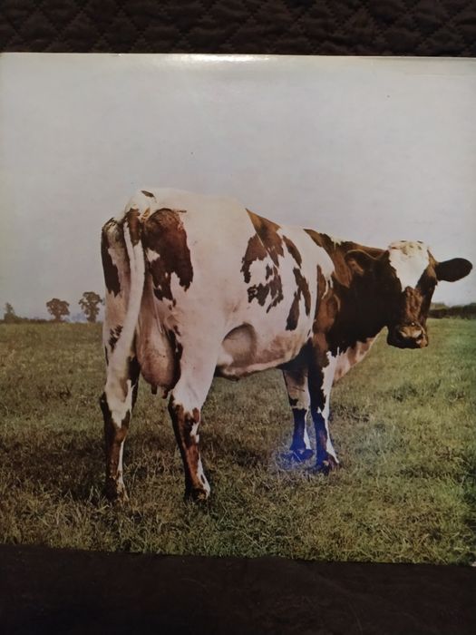 Discos vinil (Doors, Queen, I. Maiden, M. Blues, Supertramp, P. Floyd)