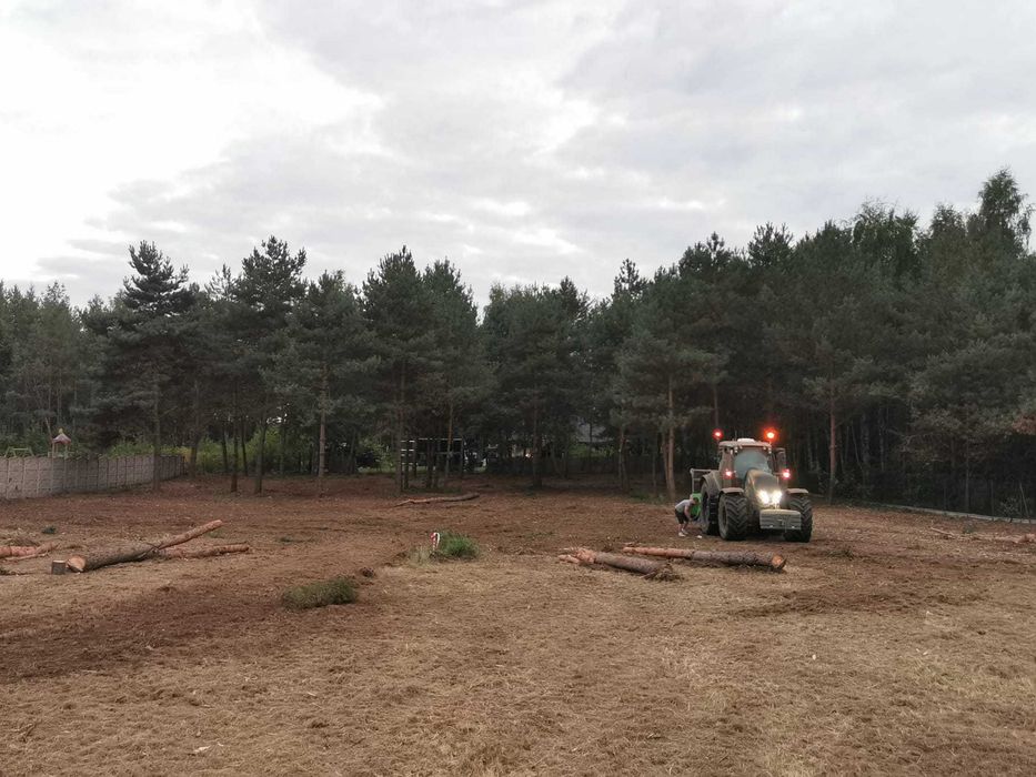 Mulczowanie Karczowanie Drzewa Krzewy Samosiejki Czyszczenie działki