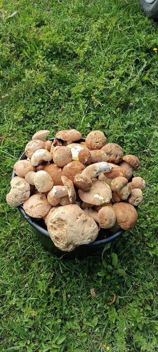 МКПП (механічна коробка перемикання передач) 6-ступка