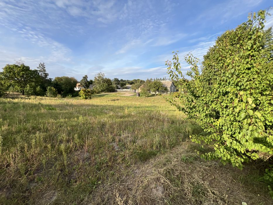 Продам будинок в селі Скригалівка