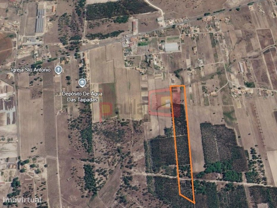 Terreno Rústico Com 6.6Ha - Taipadas