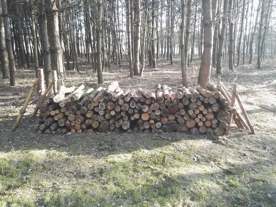 drewno opałowe opał kominkowe do palenia